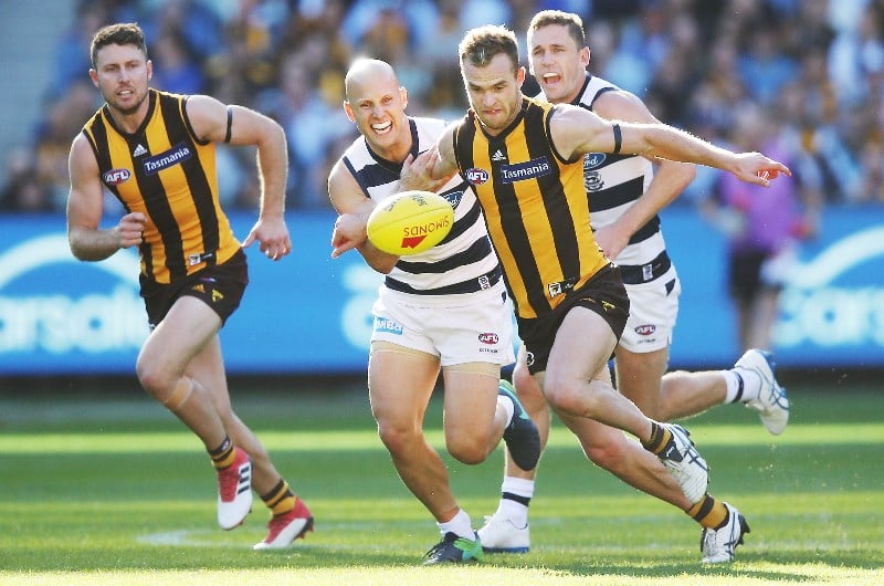 Hawthorn vs Geelong Preview & Betting Tips